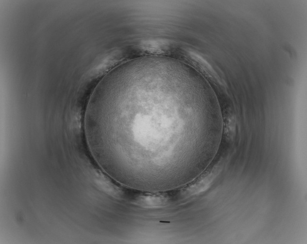 X0000112090466200908041454