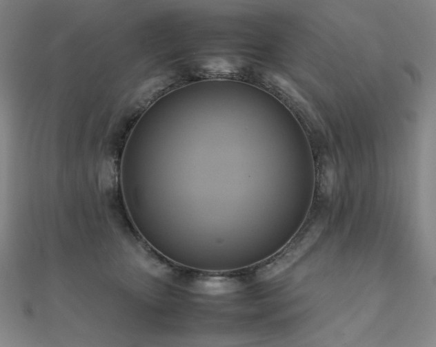 X0000112090467200908041454