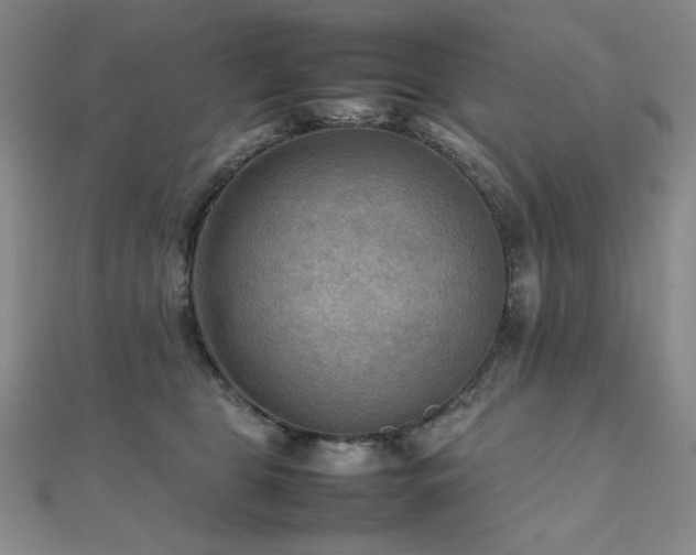 X0000112090469200908041454