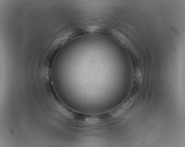 X0000112090470200908041454