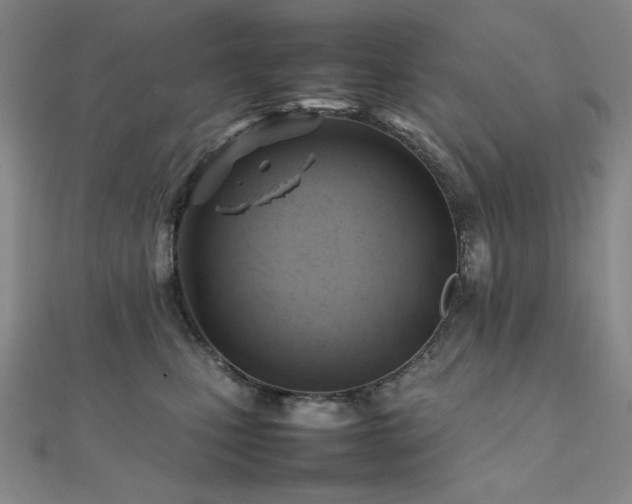 X0000112090471200908041454