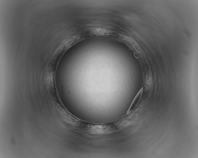 X0000112090473200908041454