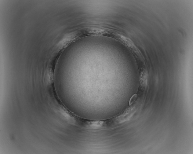 X0000112090474200908041454