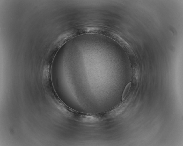 X0000112090475200908041454
