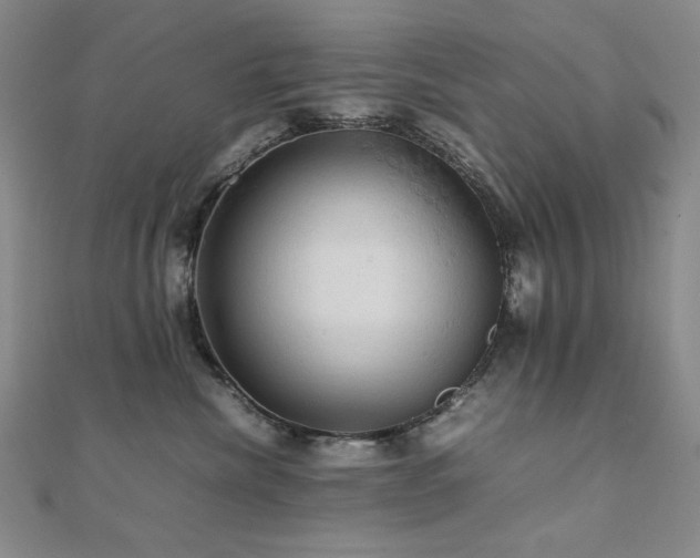 X0000112090476200908041454