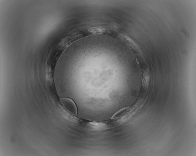 X0000112090477200908041454