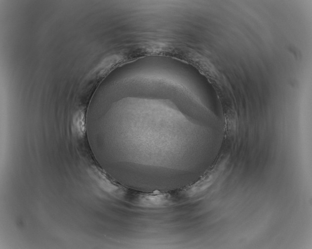 X0000112090479200908041454