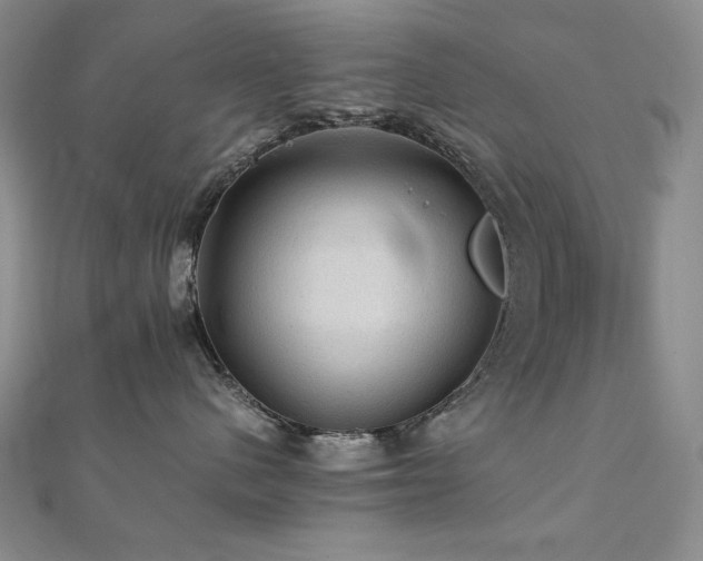 X0000112090480200908041454