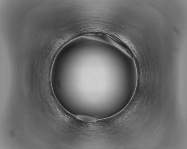 X0000112090481200908041453