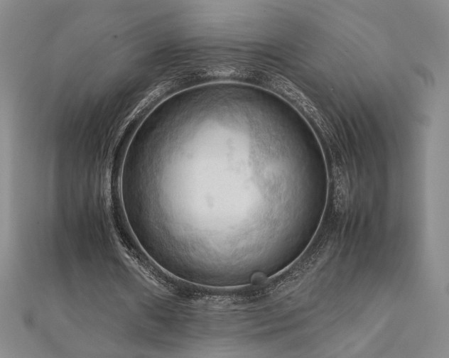 X0000112090482200908041453