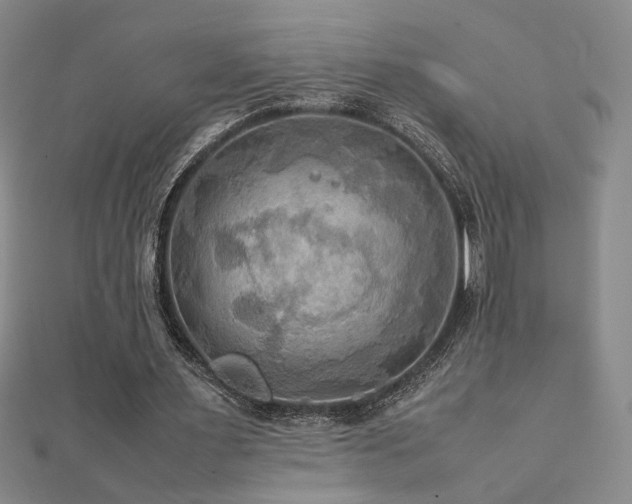 X0000112090483200908041453