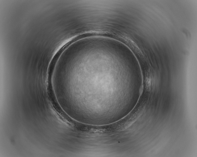 X0000112090484200908041453