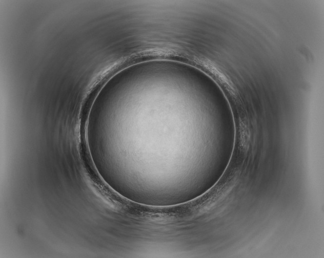 X0000112090486200908041453