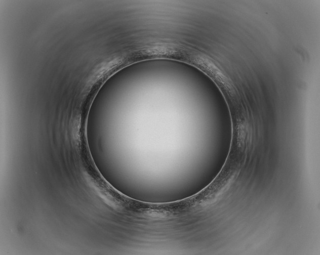 X0000112090490200908041453