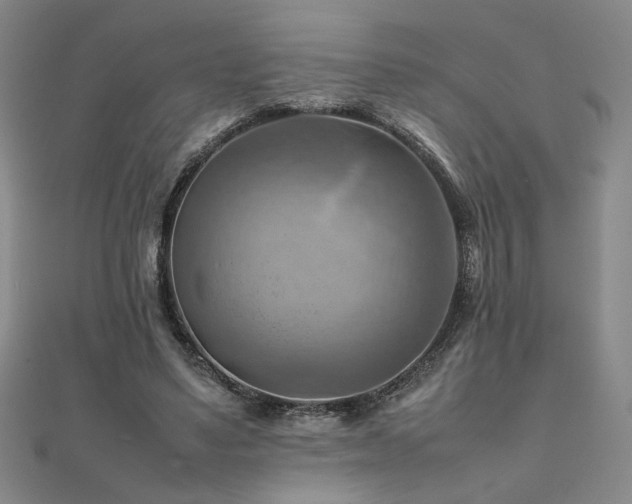 X0000112090491200908041453
