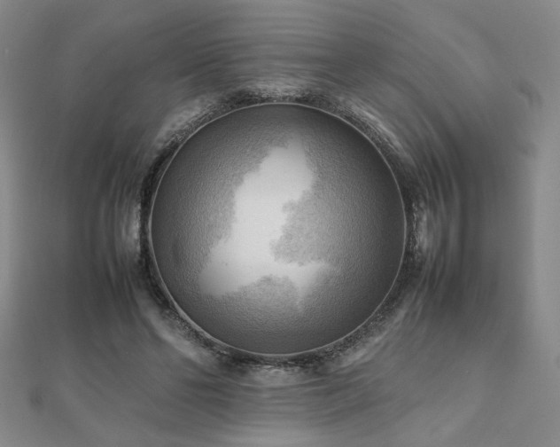 X0000112090494200908041453