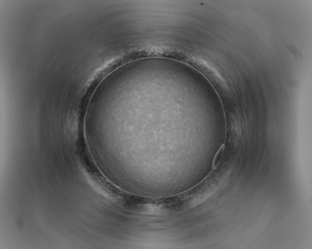 X0000112090496200908041453
