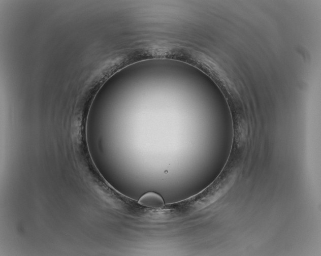 X0000112090497200908041453