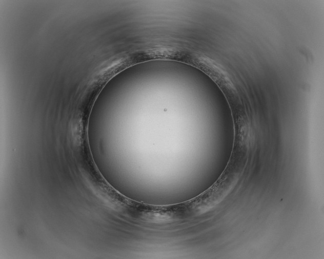 X0000112090498200908041453