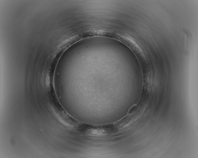 X0000112090500200908041453
