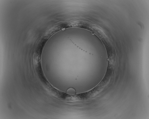 X0000112090503200908041453