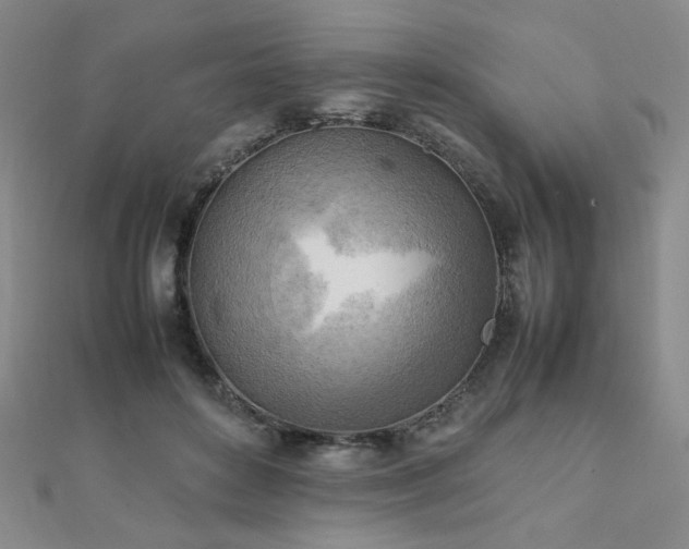 X0000112090504200908041453