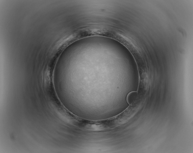 X0000112090506200908041453