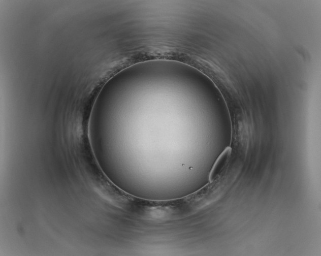 X0000112090508200908041453