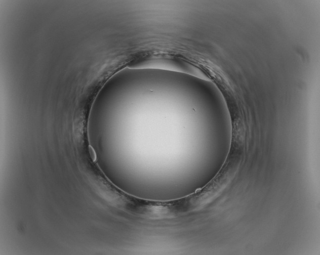 X0000112090509200908041453