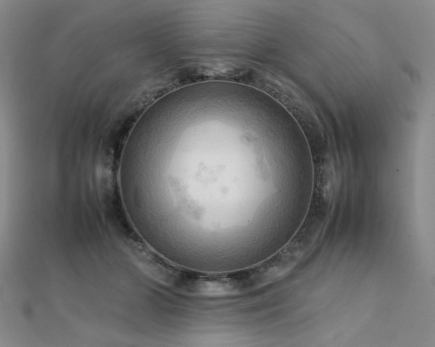 X0000112090510200908041453