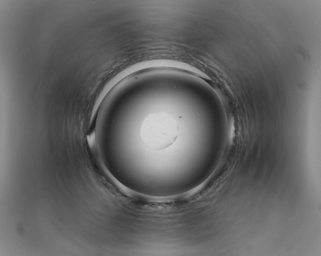 X0000112090512200908041453