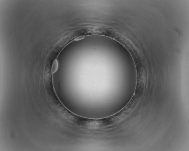 X0000112090513200908041453
