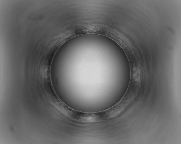 X0000112090514200908041453