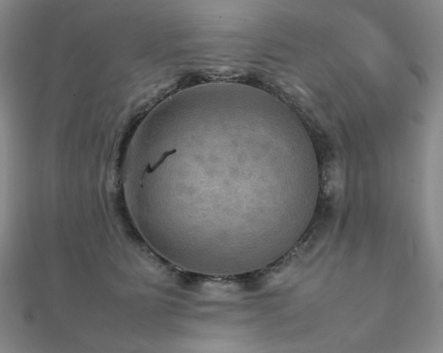 X0000112090515200908041453