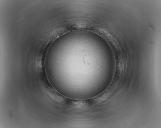 X0000112090516200908041453