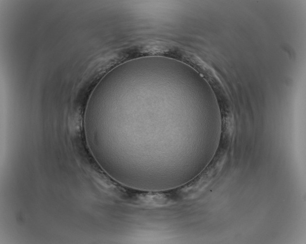 X0000112090517200908041453
