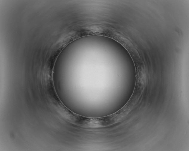 X0000112090518200908041453