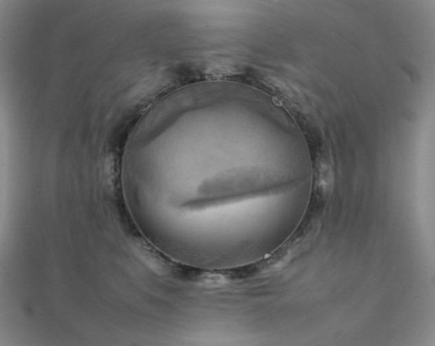X0000112090519200908041453