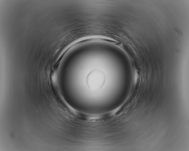 X0000112090520200908041453
