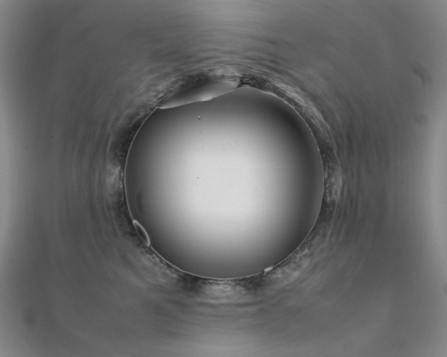 X0000112090521200908041453