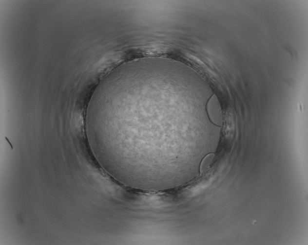 X0000112090523200908041453