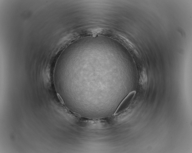 X0000112090524200908041453