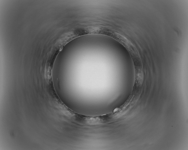 X0000112090525200908041453