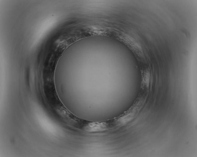 X0000112090526200908041453