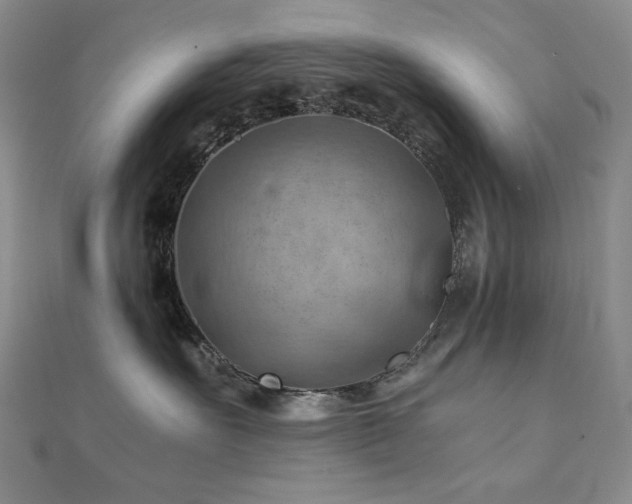 X0000112090527200908041453