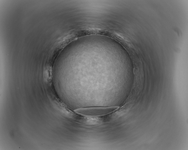 X0000112090528200908041453