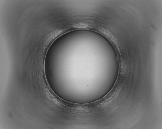 X0000112090529200908041452