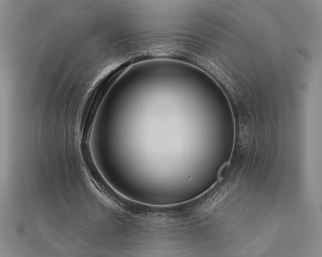 X0000112090530200908041452