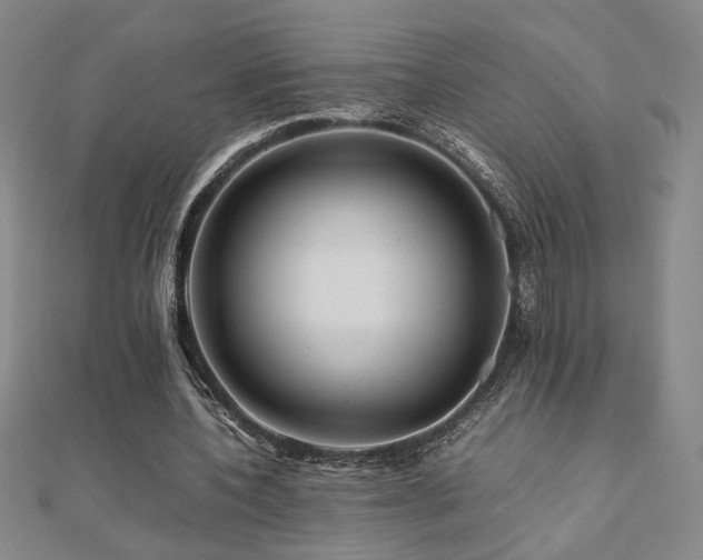 X0000112090532200908041452