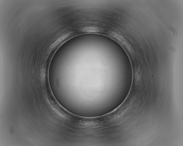 X0000112090533200908041452